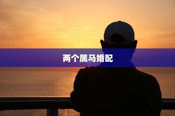 两个属马婚配