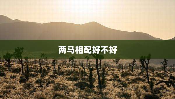 两马相配好不好