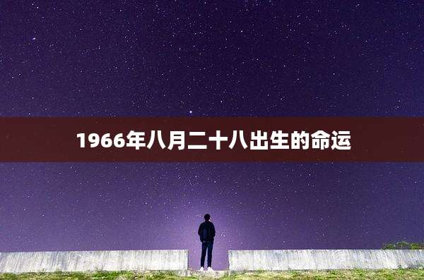 1966年八月二十八出生的命运