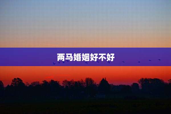 两马婚姻好不好