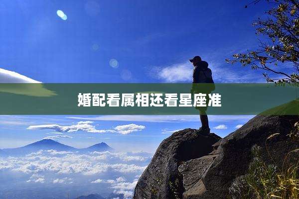婚配看属相还看星座准
