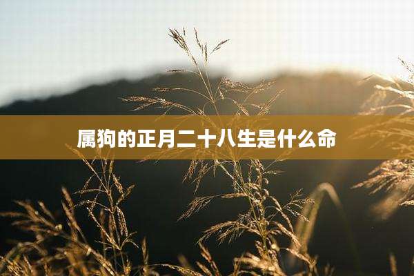 属狗的正月二十八生是什么命