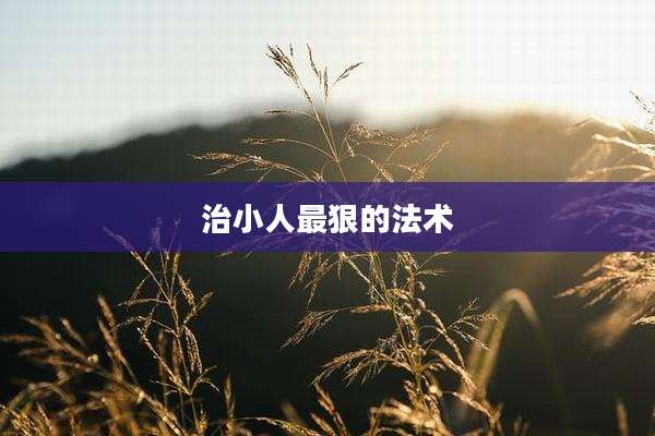 治小人最狠的法术