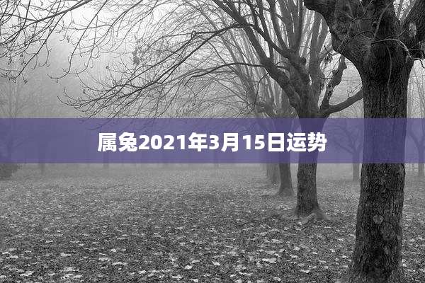属兔2021年3月15日运势