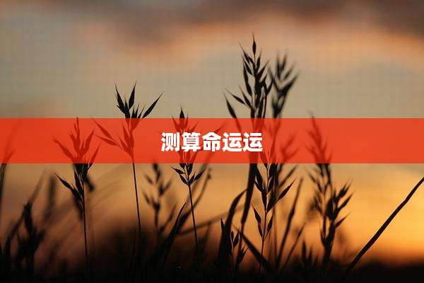 测算命运运
