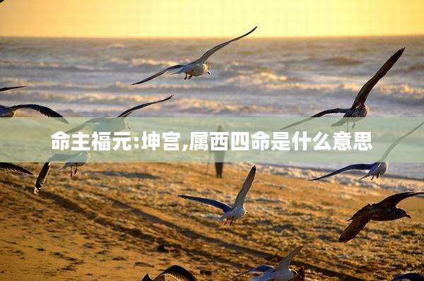 命主福元:坤宫,属西四命是什么意思