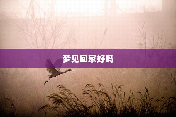 梦见回家好吗