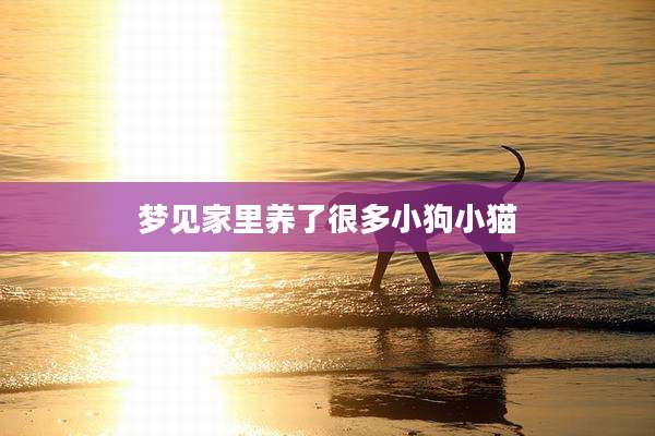 梦见家里养了很多小狗小猫