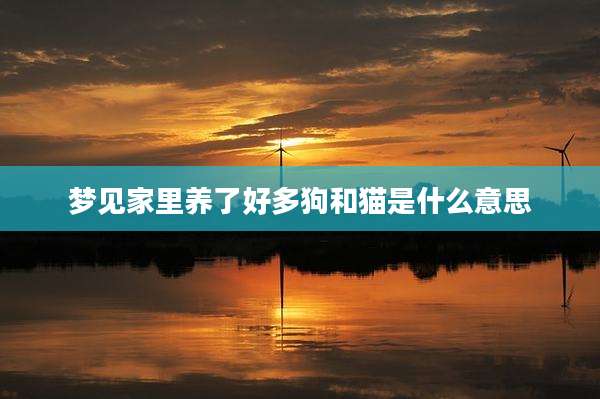 梦见家里养了好多狗和猫是什么意思