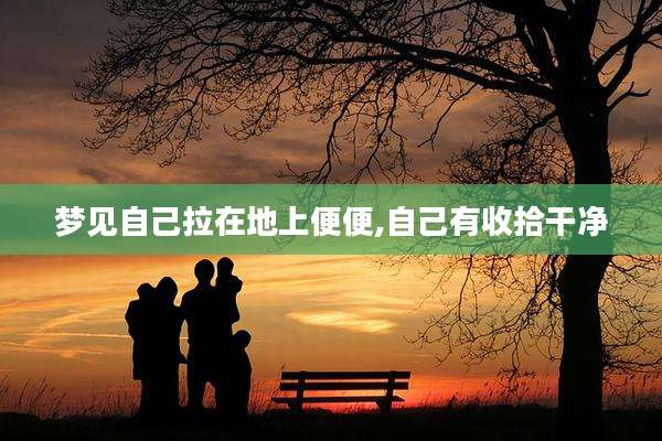 梦见自己拉在地上便便,自己有收拾干净