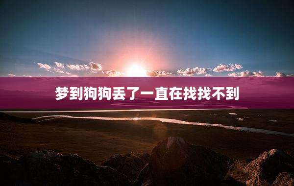 梦到狗狗丢了一直在找找不到