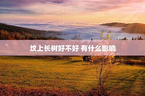 坟上长树好不好 有什么影响