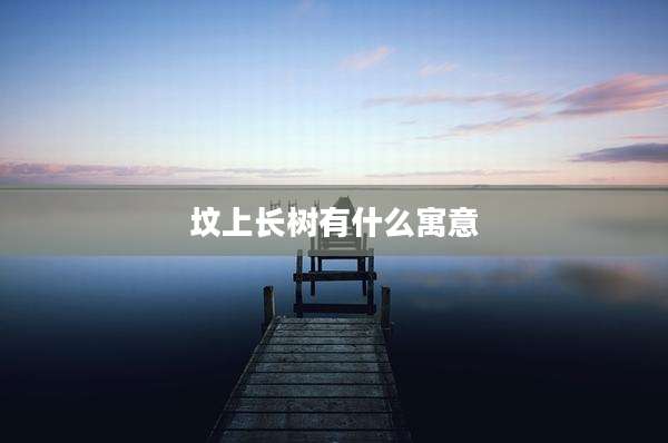 坟上长树有什么寓意