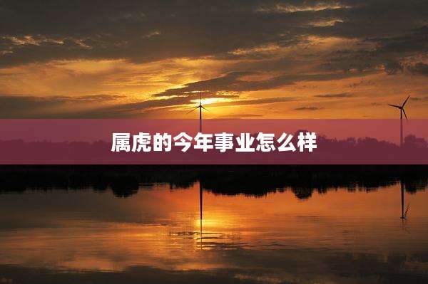 属虎的今年事业怎么样