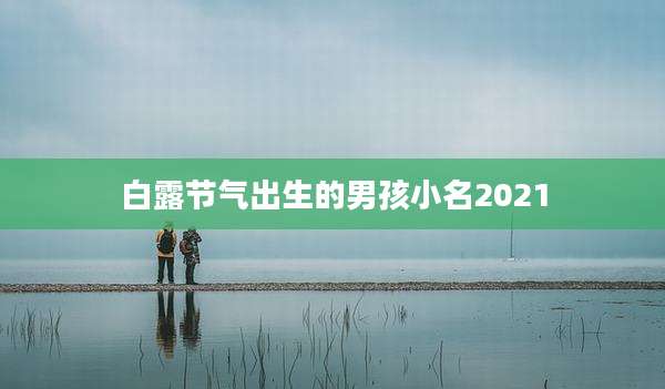 白露节气出生的男孩小名2021