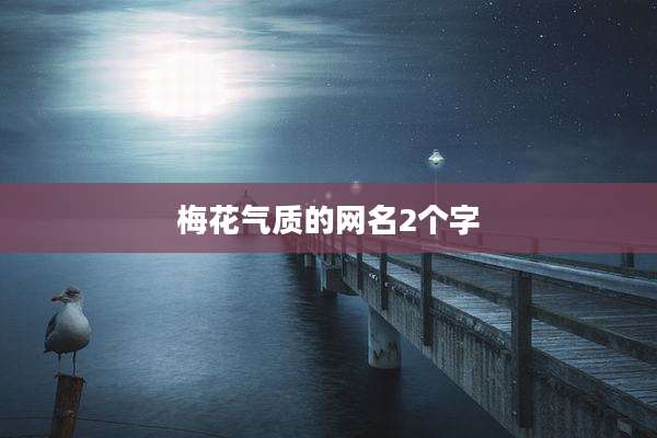 梅花气质的网名2个字
