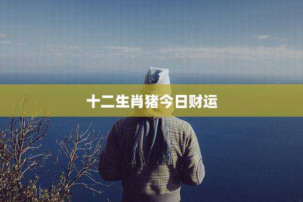 十二生肖猪今日财运
