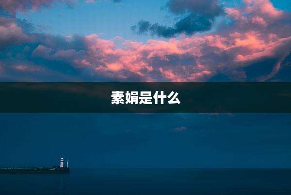 素娟是什么