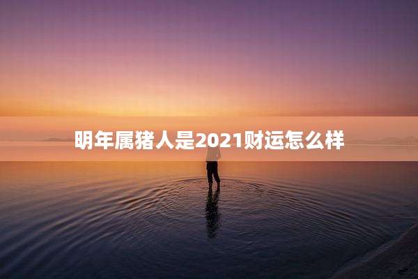 明年属猪人是2021财运怎么样