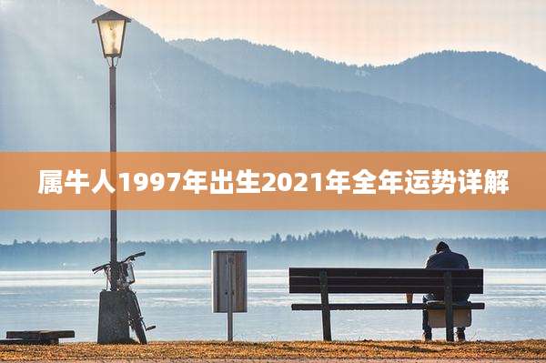 属牛人1997年出生2021年全年运势详解