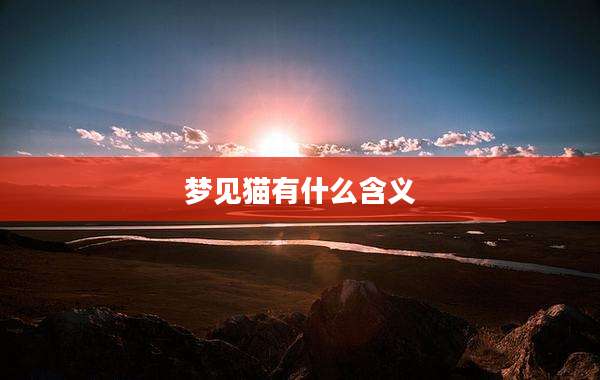 梦见猫有什么含义