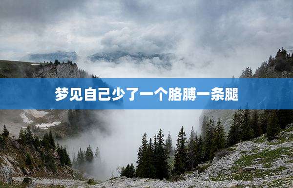 梦见自己少了一个胳膊一条腿