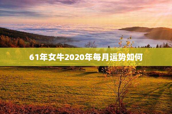 61年女牛2020年每月运势如何