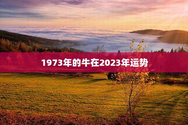 1973年的牛在2023年运势