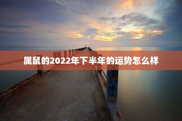 属鼠的2022年下半年的运势怎么样