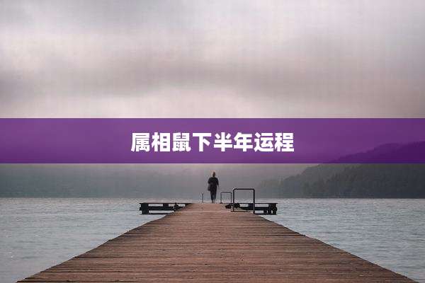 属相鼠下半年运程