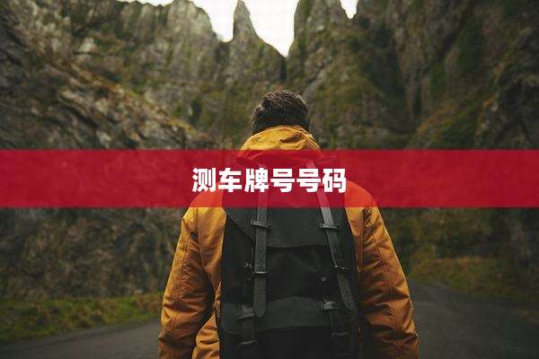测车牌号号码