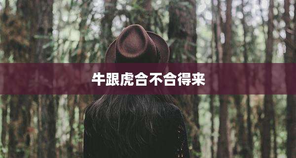 牛跟虎合不合得来