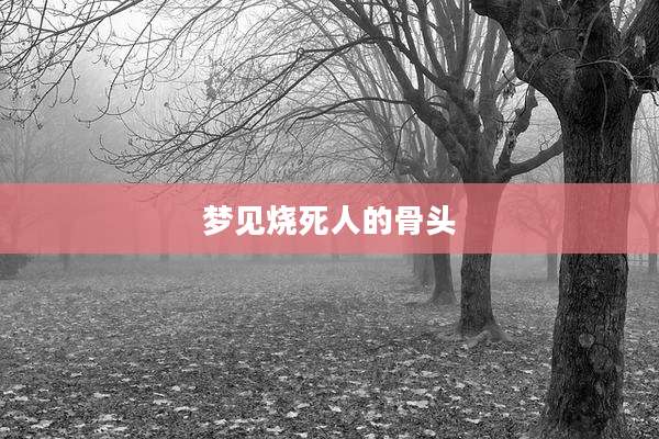 梦见烧死人的骨头
