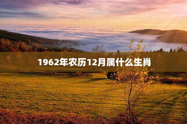 1962年农历12月属什么生肖