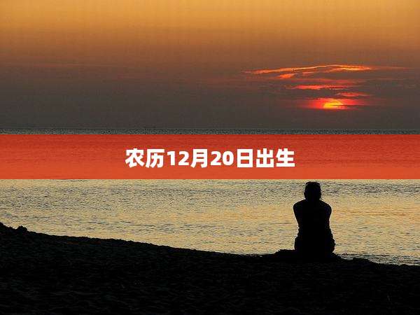 农历12月20日出生