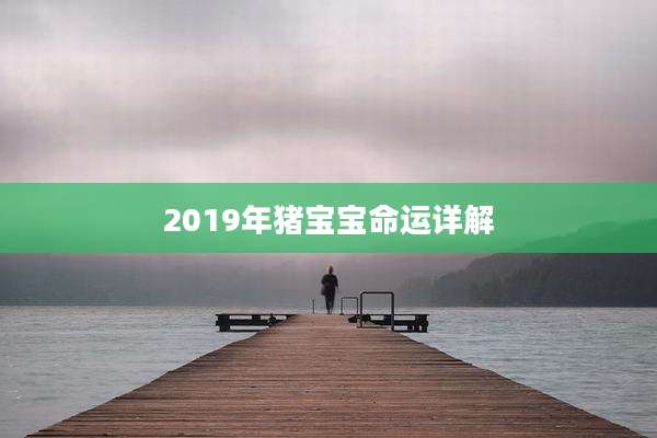 2019年猪宝宝命运详解