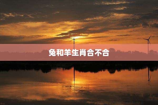 兔和羊生肖合不合