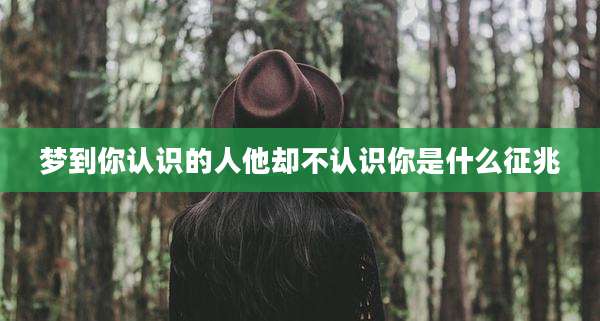 梦到你认识的人他却不认识你是什么征兆
