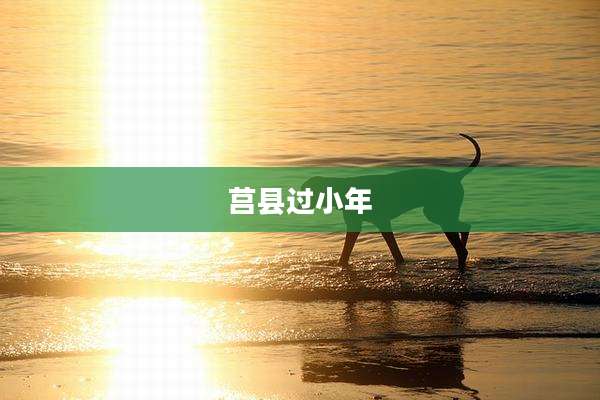 莒县过小年