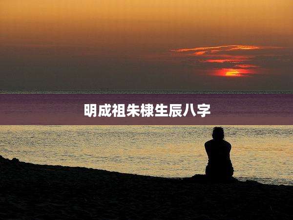 明成祖朱棣生辰八字
