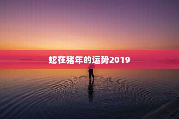 蛇在猪年的运势2019