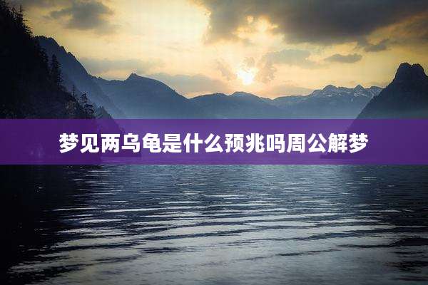 梦见两乌龟是什么预兆吗周公解梦