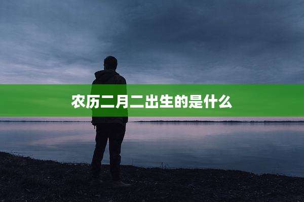 农历二月二出生的是什么