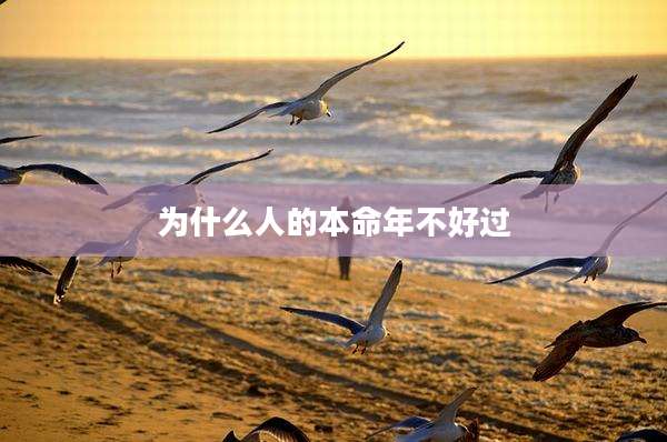 为什么人的本命年不好过