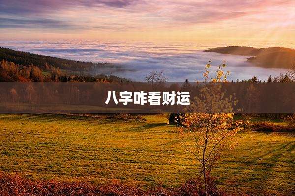 八字咋看财运