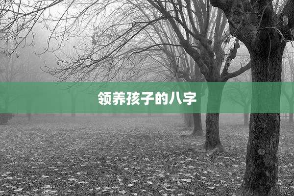 领养孩子的八字