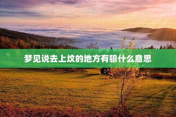 梦见说去上坟的地方有狼什么意思