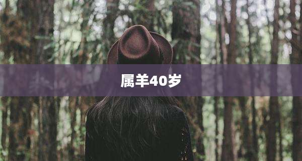属羊40岁