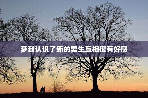 梦到认识了新的男生互相很有好感
