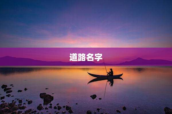 道路名字
